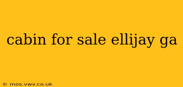 cabin for sale ellijay ga