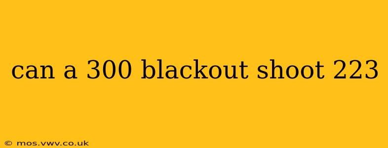 can a 300 blackout shoot 223