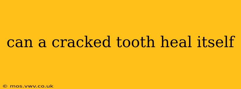 can a cracked tooth heal itself