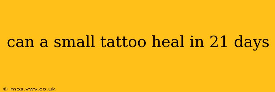 can a small tattoo heal in 21 days