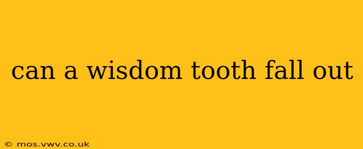 can a wisdom tooth fall out