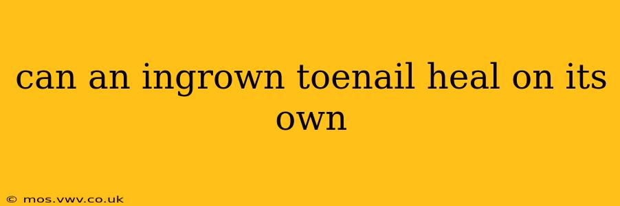 can an ingrown toenail heal on its own