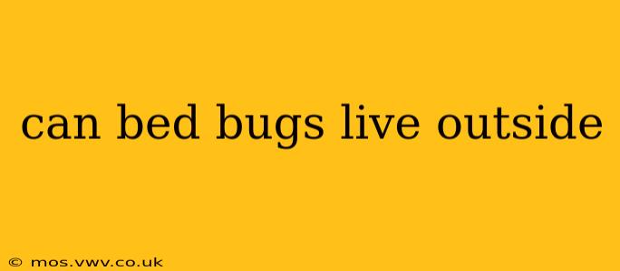 can bed bugs live outside