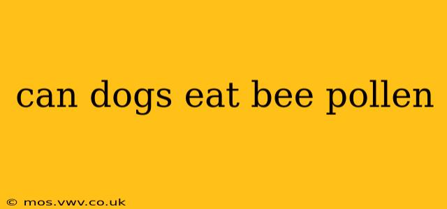 can dogs eat bee pollen