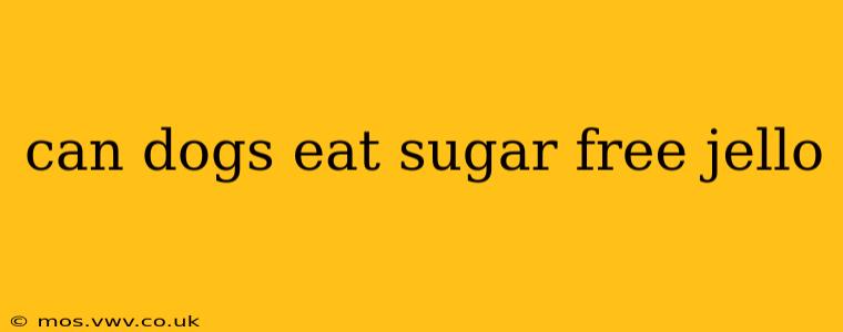 can dogs eat sugar free jello