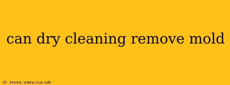 can dry cleaning remove mold