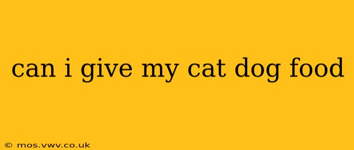 can i give my cat dog food