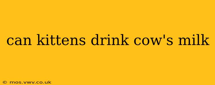 can kittens drink cow's milk