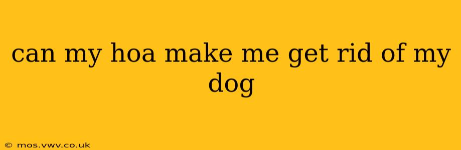can my hoa make me get rid of my dog