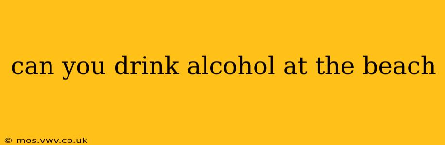 can you drink alcohol at the beach