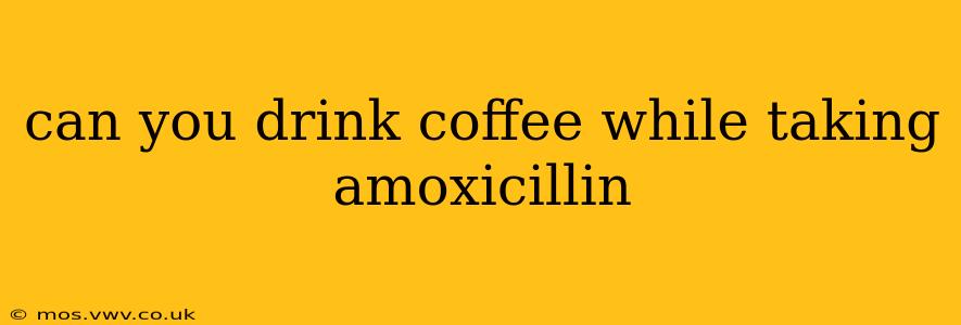 can you drink coffee while taking amoxicillin