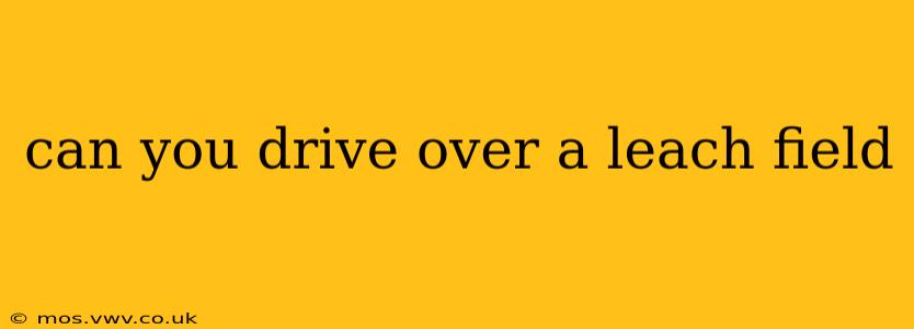 can you drive over a leach field