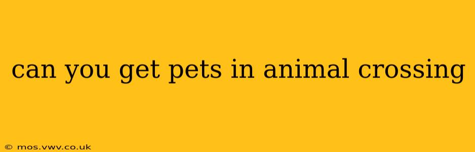 can you get pets in animal crossing