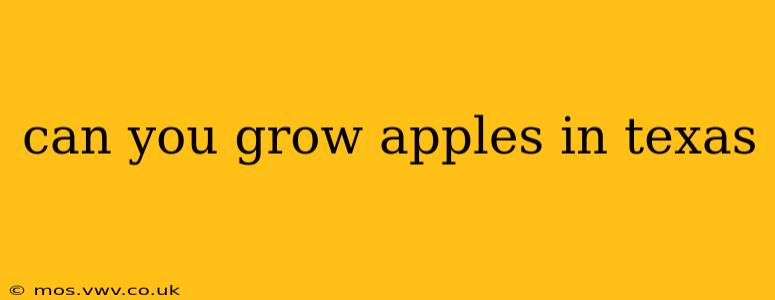 can you grow apples in texas