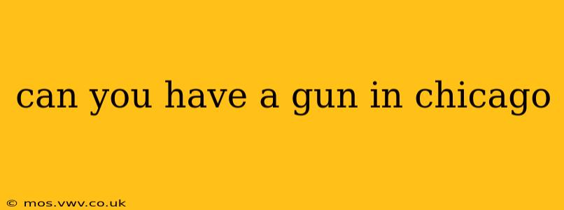 can you have a gun in chicago