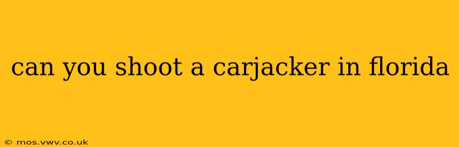 can you shoot a carjacker in florida