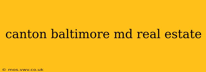 canton baltimore md real estate