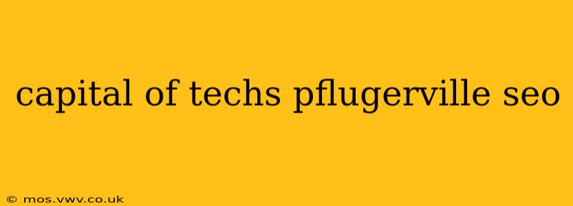 capital of techs pflugerville seo