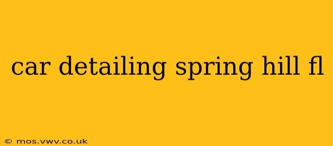 car detailing spring hill fl