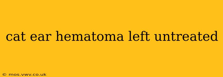 cat ear hematoma left untreated