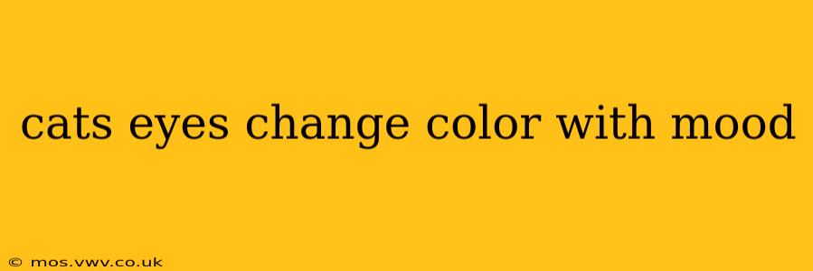 cats eyes change color with mood