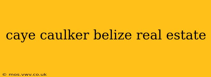 caye caulker belize real estate