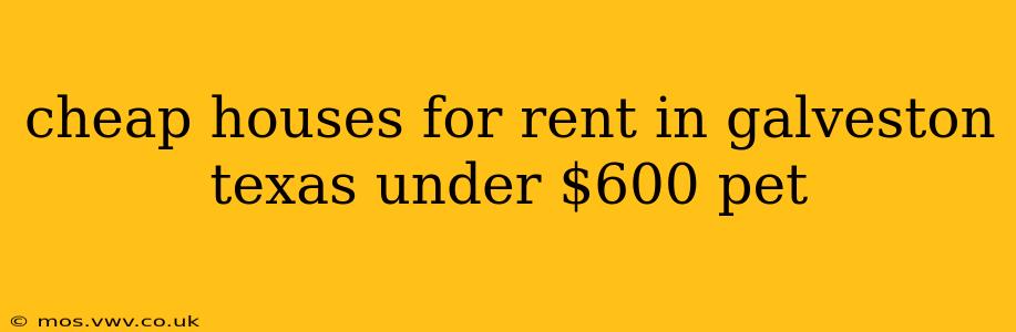 cheap houses for rent in galveston texas under $600 pet