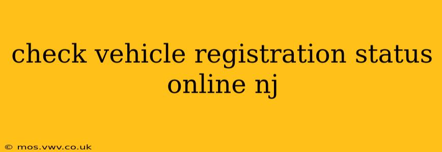 check vehicle registration status online nj