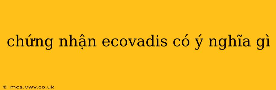 chứng nhận ecovadis có ý nghĩa gì
