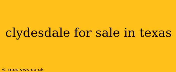 clydesdale for sale in texas