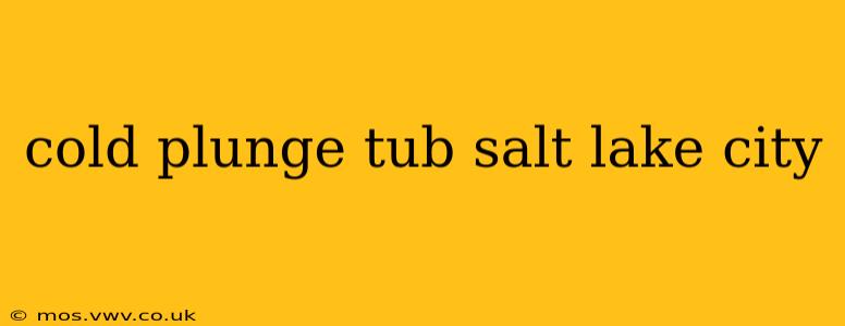 cold plunge tub salt lake city