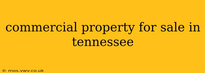 commercial property for sale in tennessee