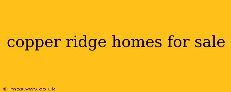 copper ridge homes for sale
