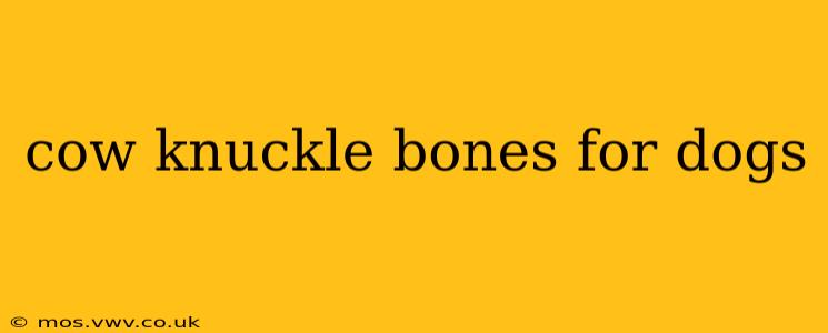 cow knuckle bones for dogs