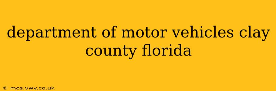 department of motor vehicles clay county florida