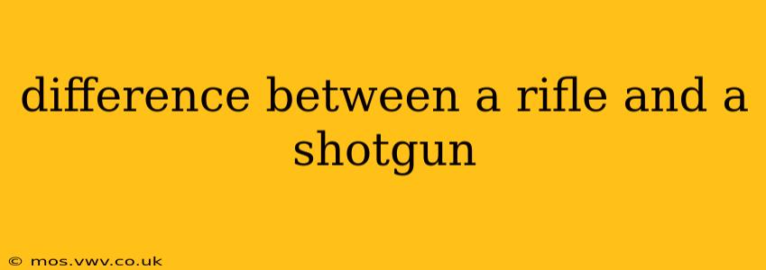 difference between a rifle and a shotgun