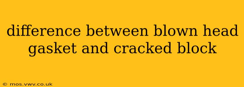 difference between blown head gasket and cracked block