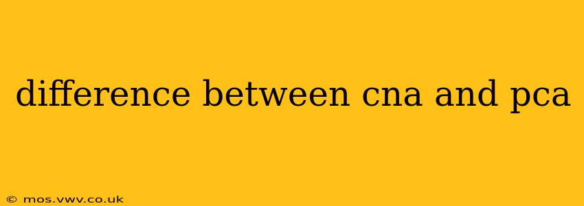difference between cna and pca