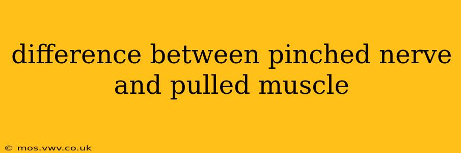 difference between pinched nerve and pulled muscle