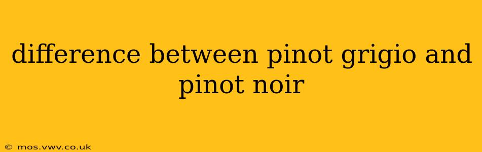 difference between pinot grigio and pinot noir