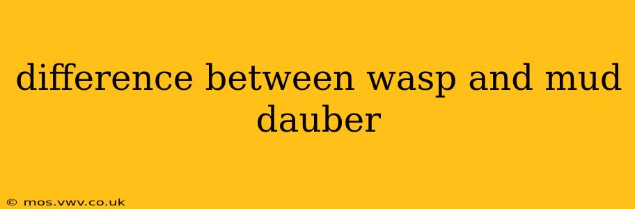 difference between wasp and mud dauber