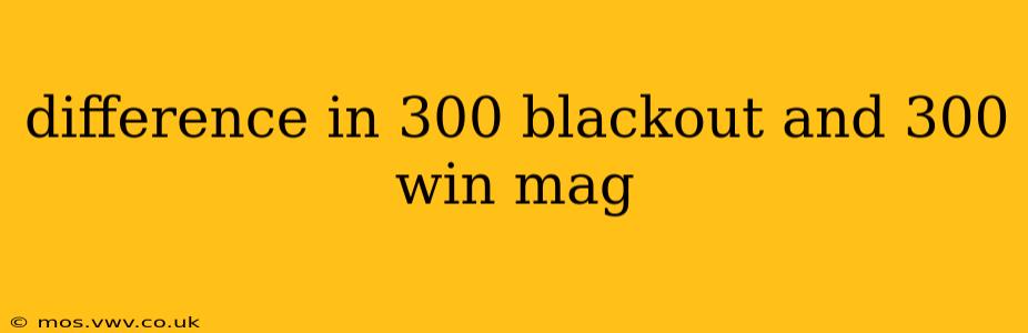 difference in 300 blackout and 300 win mag