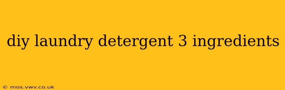 diy laundry detergent 3 ingredients