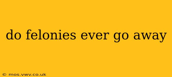 do felonies ever go away