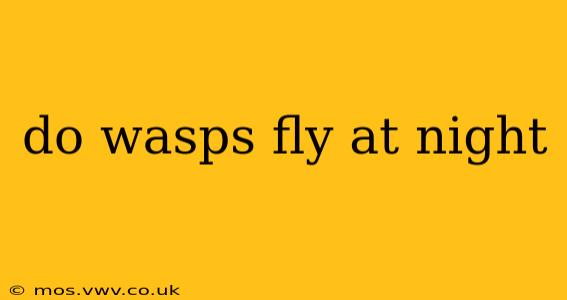 do wasps fly at night