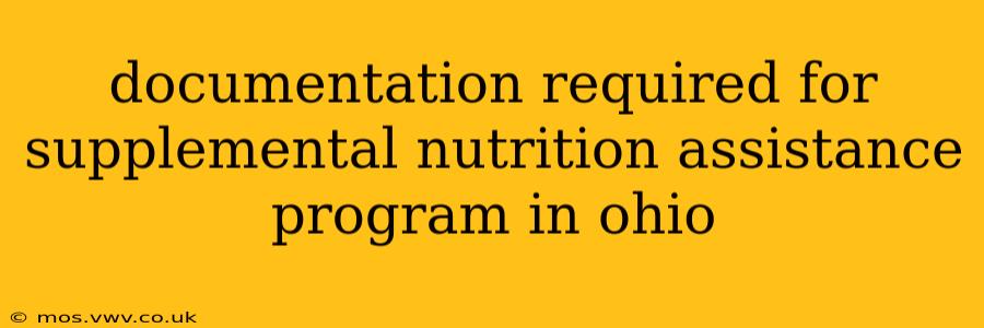 documentation required for supplemental nutrition assistance program in ohio