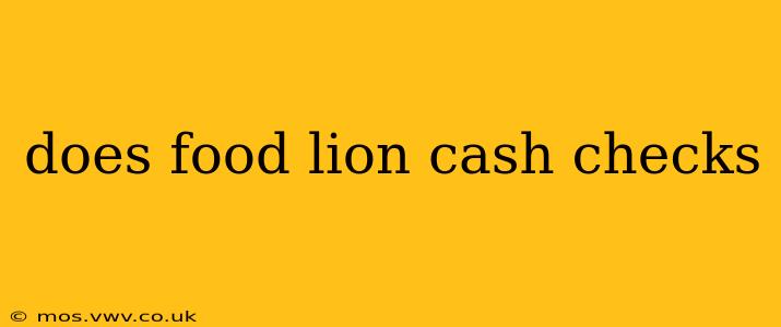 does food lion cash checks