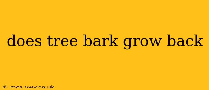 does tree bark grow back