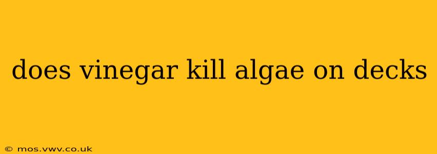does vinegar kill algae on decks