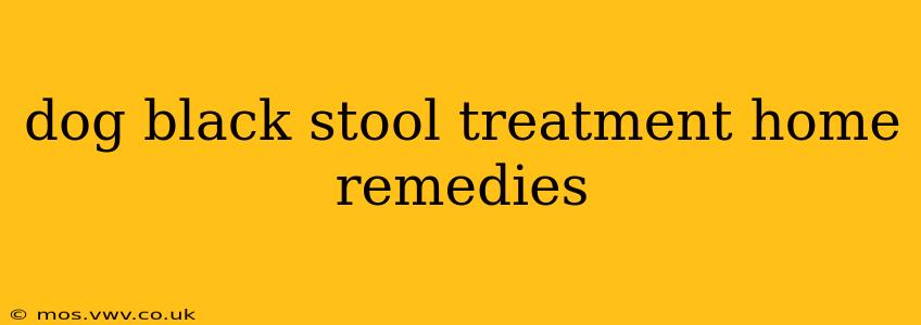 dog black stool treatment home remedies
